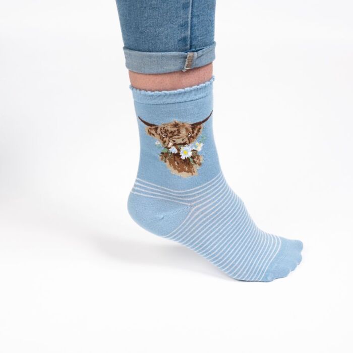 Wrendale Designs "Daisy Coo" Highland Cow Socks